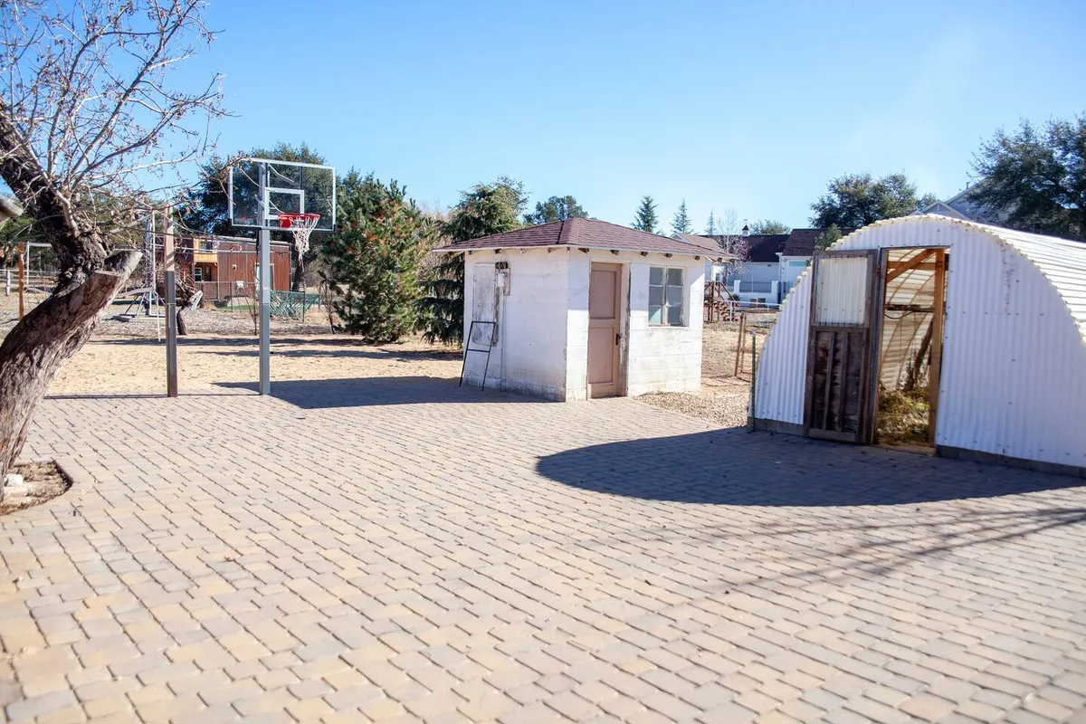 An exterior view of a paved area featuring a basketball hoop, a storage shed, and a greenhouse. The presence of open space and gathering elements suggests this is a versatile area for outdoor socializing, games, and summertime barbecues.